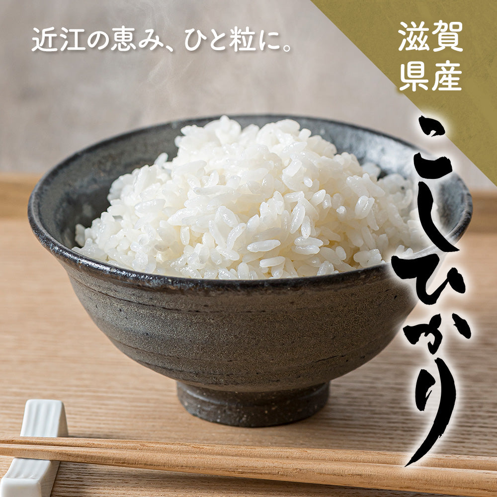 米 5kg 雪若丸 精米 山形県産 送料無料 令和6年産 ギフト 単一原料米 ブランド米 こめ コメ 白米 産地直送 kkb-005