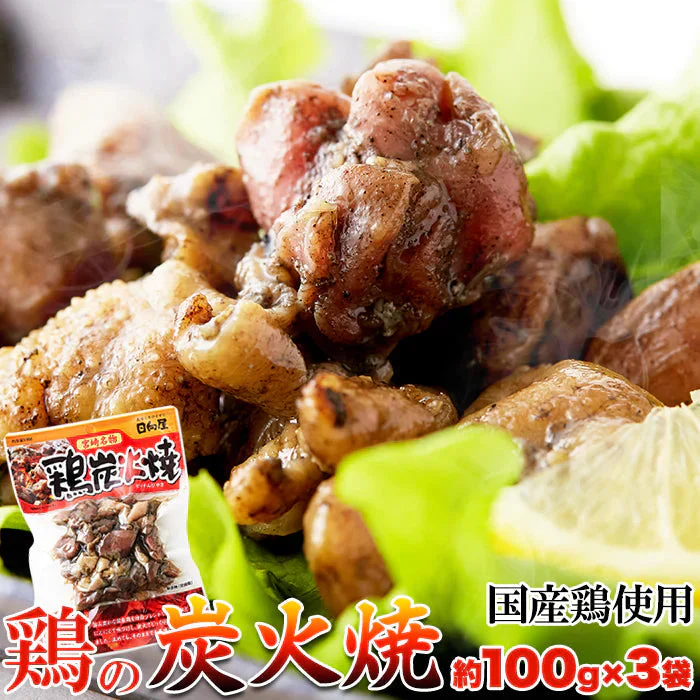 日向屋 鶏炭火焼 90g 3袋セット 日向屋オリジナル塩胡椒 にんにく ローストオニオン で味付け炭火焼 メール便