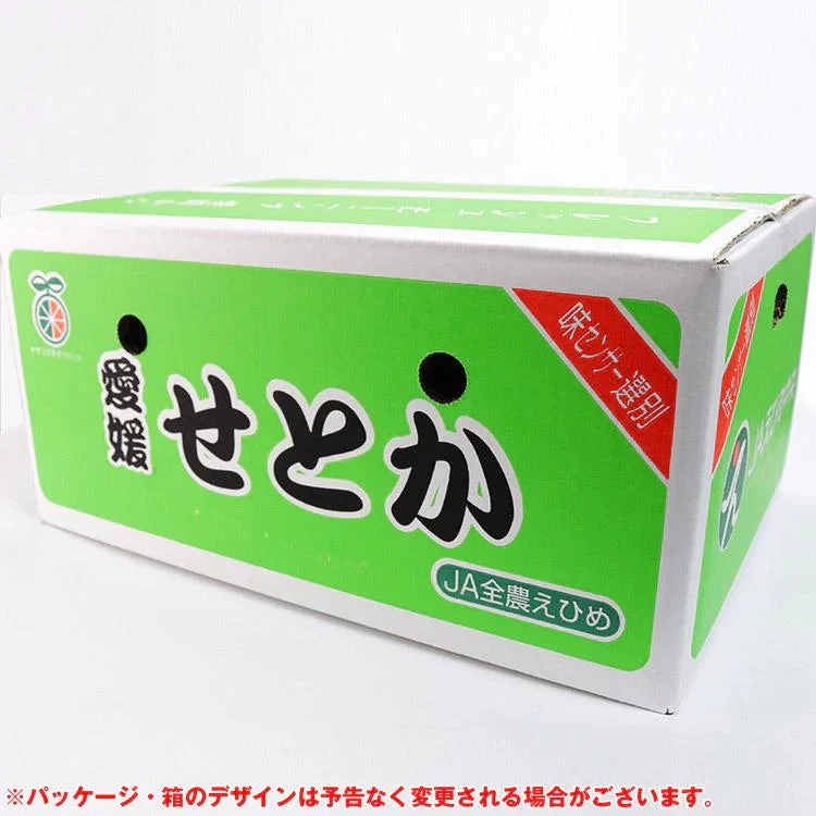 せとか みかん 5kg 愛媛県産 JAえひめ中央 柑橘 大トロ 高級 フルーツ ギフト 常温便【フレッシュセール】