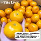 和歌山県産 有田みかん 秀品 S〜L 約4kg 有田産 みかん ゆら 田口 宮川 ミカン 贈答 ギフト ご自宅