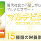 マルチビタミン《約1ヶ月分》 ネコポス送料無料■代引き・日時指定不可　サプリ/ビタミンサプリ/ミネラル ビタミン 葉酸 ナイアシン ビオチン パントテン酸 ヘスペリジン レシチン デュナリエラカロテン【カウシェファーム収穫対象商品】