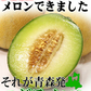 【冷蔵便】青森県産 つがるメロン 2玉(優～秀品 1玉約1.0kg～1.2kg×2玉入り)