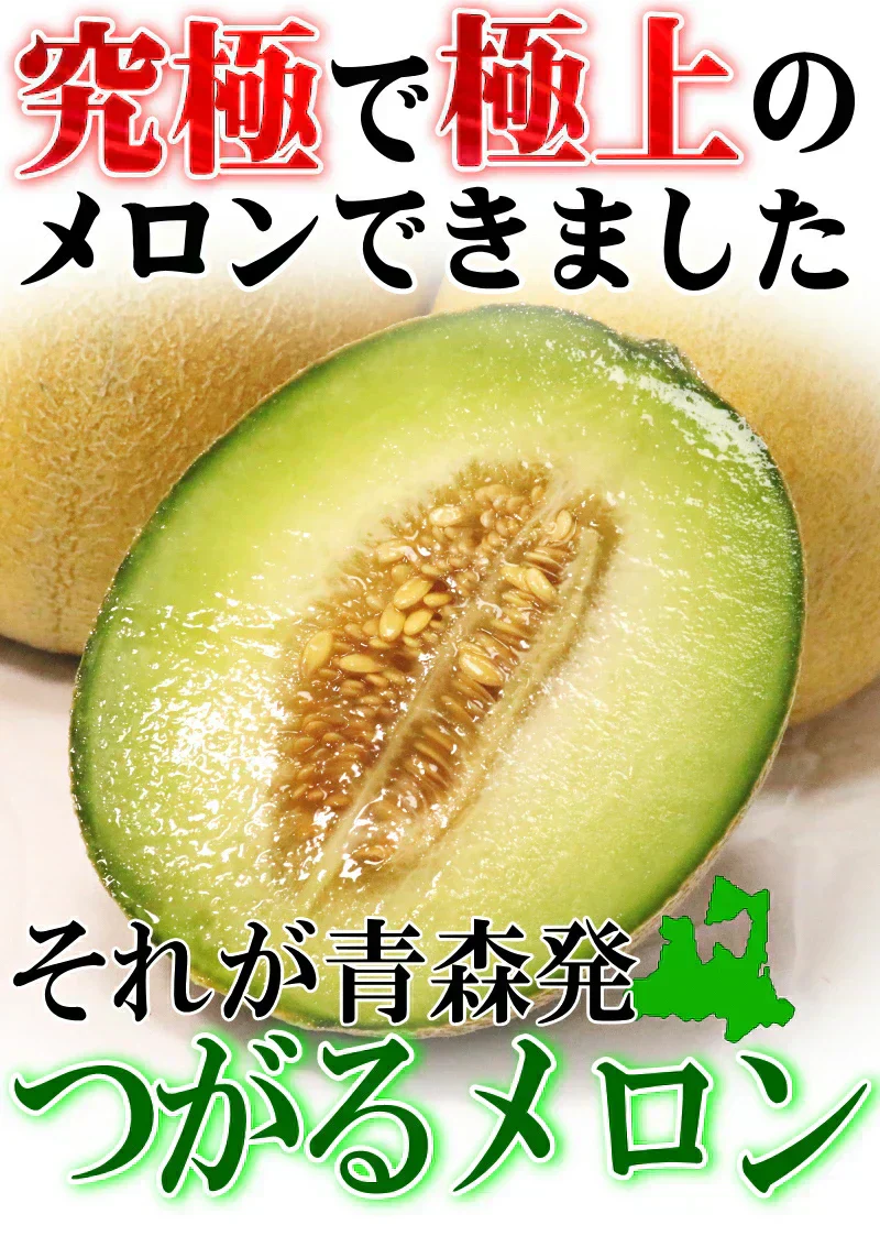 【冷蔵便】青森県産 つがるメロン 2玉(優～秀品 1玉約1.0kg～1.2kg×2玉入り)