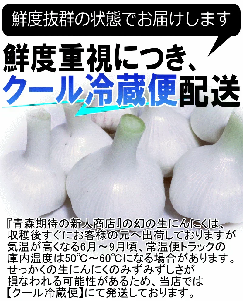 【即日発送】青森県産 幻の生にんにく 1kg【冷蔵便】 令和8年度産 Mサイズ以上L～2L混合