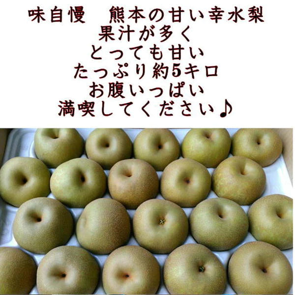 幸水梨　秀品　約5キロ（約8玉〜20玉）熊本産　なし　梨　ナシ　【クール便】