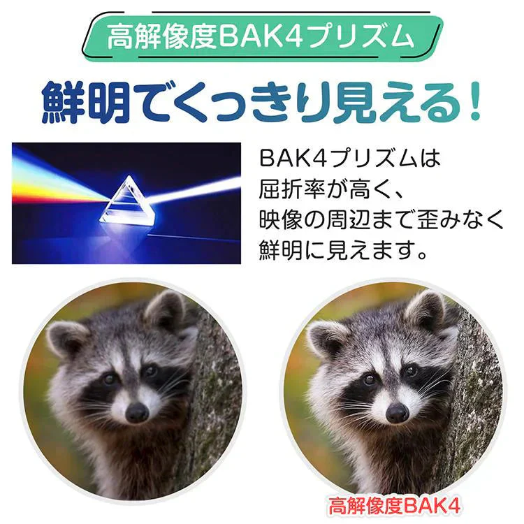 双眼鏡 「ホワイト」 高倍率 10倍 コンサート オペラグラス ライブ用 ケース付き ドーム 防水 軽量 観劇 コンパクト フェス スポーツ観戦 バードウォッチング ストラップ