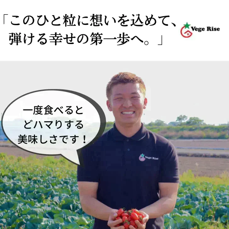 1kg フラガール糖度10度越えミニトマト 送料無料