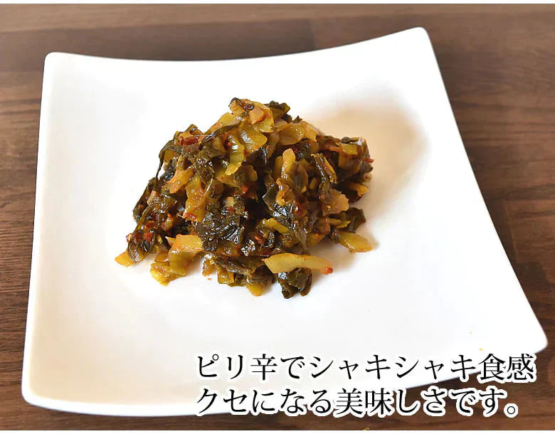辛子高菜漬 高菜 漬物 600g（150g×4袋） 送料無料 お試し お取り寄せ 宮崎県産 ピリ辛たかな ポイント消化 つけもの