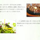 ＤＨＡ＋ＥＰＡ オメガ3系α-リノレン酸 亜麻仁油 《約12ヶ月分》 サプリ サプリメント 健康 オメガ3 リノレン酸 えごま油 亜麻仁油 ドコサヘキサエン酸 ロズマリン酸 ルテオリン【大容量】