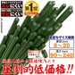 国華園 イボ付鋼管製支柱スーパー 直径8mm・長さ120cm 50本１組 グリーン 園芸支柱 家庭菜園 イボ竹
