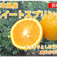 スイートスプリング 訳あり 10kg 箱込（内容量9kg＋補償分500g) みかん 送料無料 訳あり 熊本県産 爽やかな甘さと香り 蜜柑 温州みかん 八朔 お取り寄せ フルーツ