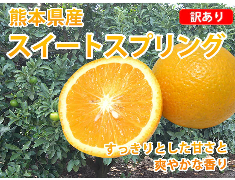 スイートスプリング 訳あり 10kg 箱込（内容量9kg＋補償分500g) みかん 送料無料 訳あり 熊本県産 爽やかな甘さと香り 蜜柑 温州みかん 八朔 お取り寄せ フルーツ