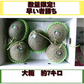 【6月上旬～7月上旬発送予定】肥後グリーンメロン 訳あり 箱込約７キロ（3～6玉入り）熊本産　120サイズ