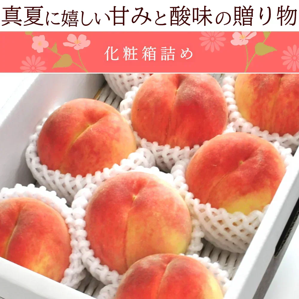 【8月中旬頃-9月中旬頃ご注文受付順次】白桃 約3kg 8-12玉前後 もも モモ 桃 ピーチ 山形産 お中元 ギフト 贈答