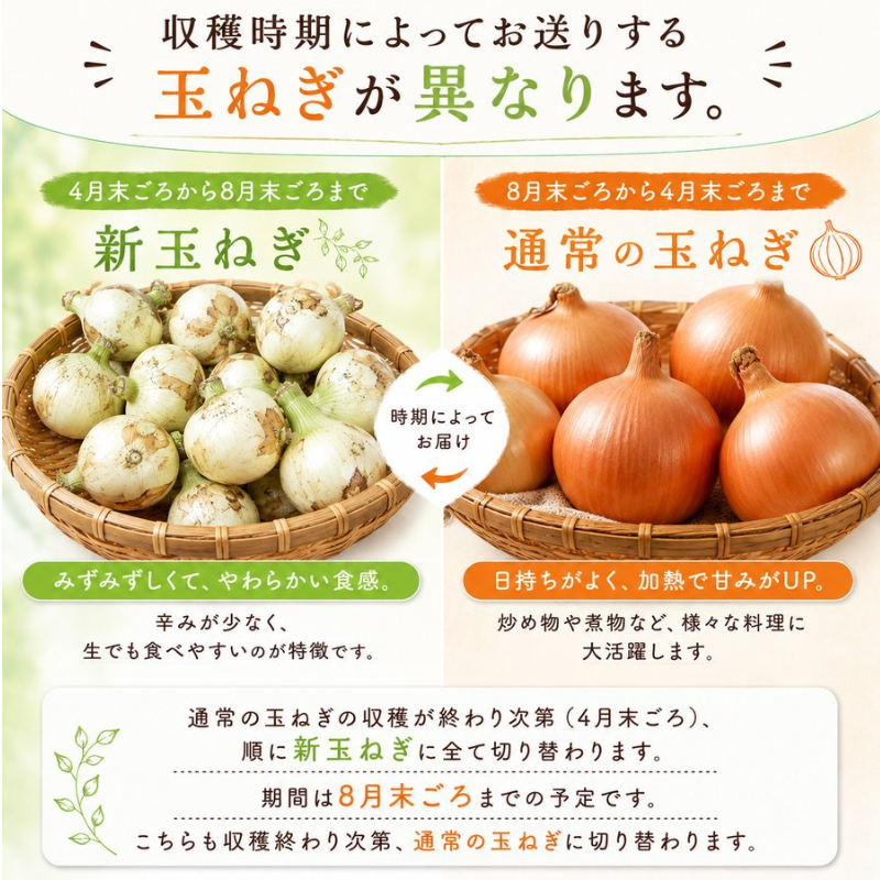 [みさわのやさい] 玉ねぎ 淡路島 3kg サイズお任せ(M〜2L) 国産 皮茶 玉葱 たまねぎ タマネギ 皮 保存野菜 常備野菜