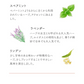 ★訳あり特価★オーガニック ブレンド ルイボスティー （Organic Beauty Blend ROOIBOS ティーバッグ ブレンドティー 美容 健康 有機）