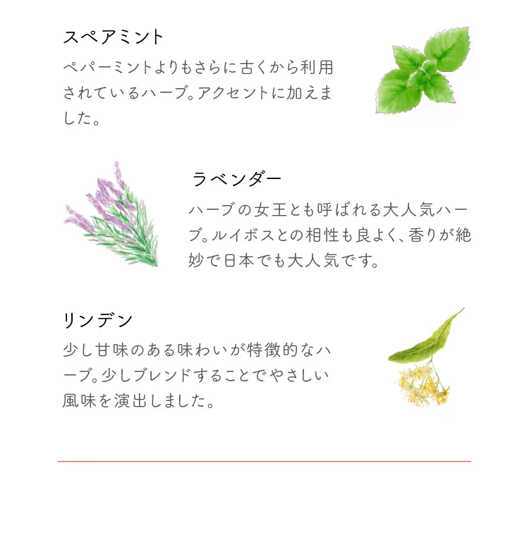 ★訳あり特価★オーガニック ブレンド ルイボスティー （Organic Beauty Blend ROOIBOS ティーバッグ ブレンドティー 美容 健康 有機）