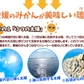 みかん　愛媛産　10kg　早生　サイズおまかせ　ご家庭用