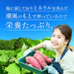 干し芋 1kg ギフトプレゼント 干しいも ほし芋 国産 訳あり 無添加 茨城県産 紅はるか べにはるか 切り落とし 芋 スイーツ お菓子 和菓子 スイーツ さつまいも 和スイーツ お取り寄せスイーツ ほしいも わけあり N
