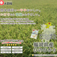 無洗米 2kg 送料無料 九州産 福岡県産ヒノヒカリ 2kg×1　令和7年産