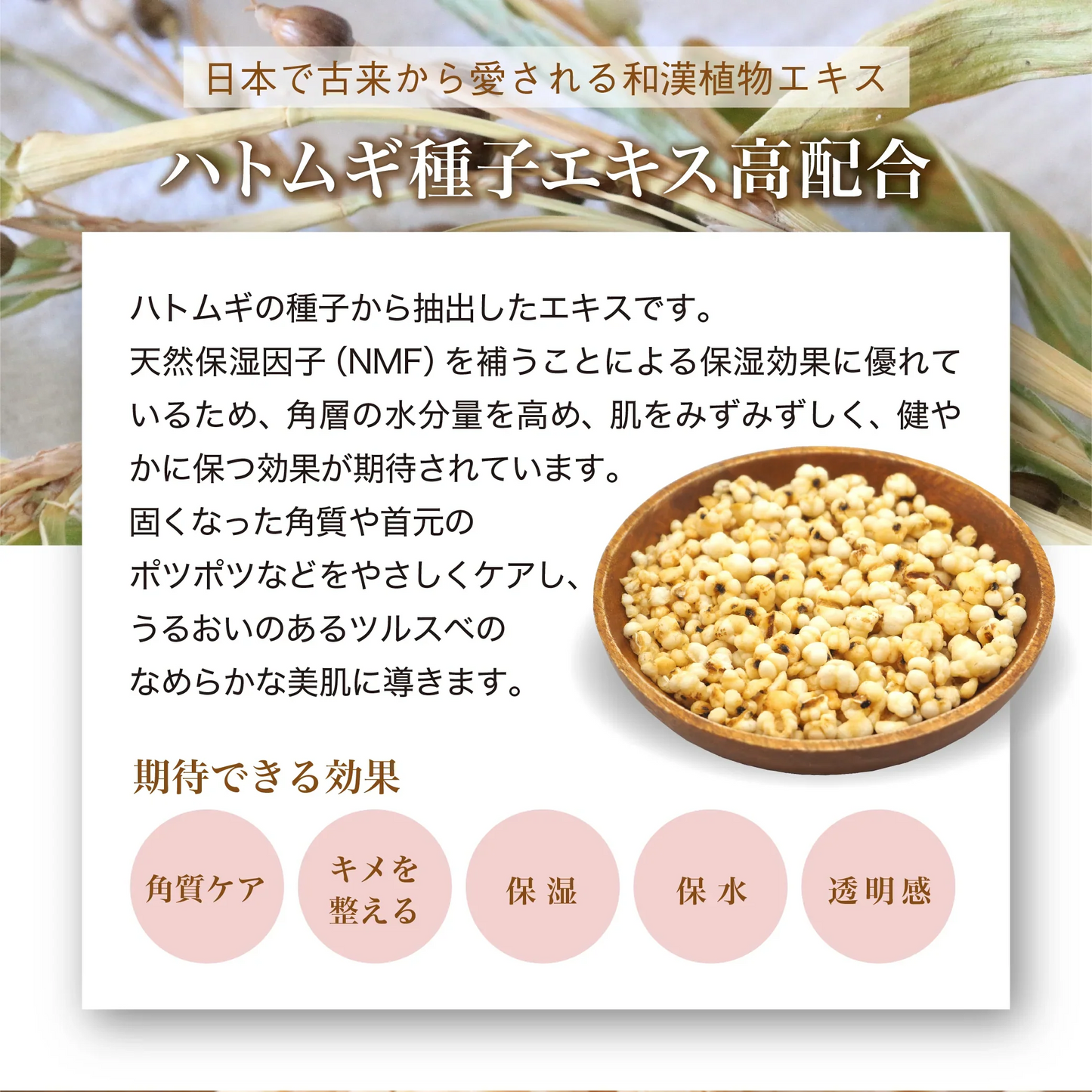 ハトムギ豊潤美容液 200ml 新商品 大容量 美容液 ポンプ式 保湿 浸透性 伸びやすい べたつかない ハトムギエキス 高配合 ハトムギ種子発酵液 コメ発酵液 弱酸性 無香料