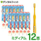 歯ブラシ サムフレンド r（アール） バンビーニ  乳歯列期・自分磨き用 ミディアム  12本 子供用【メール便送料無料】