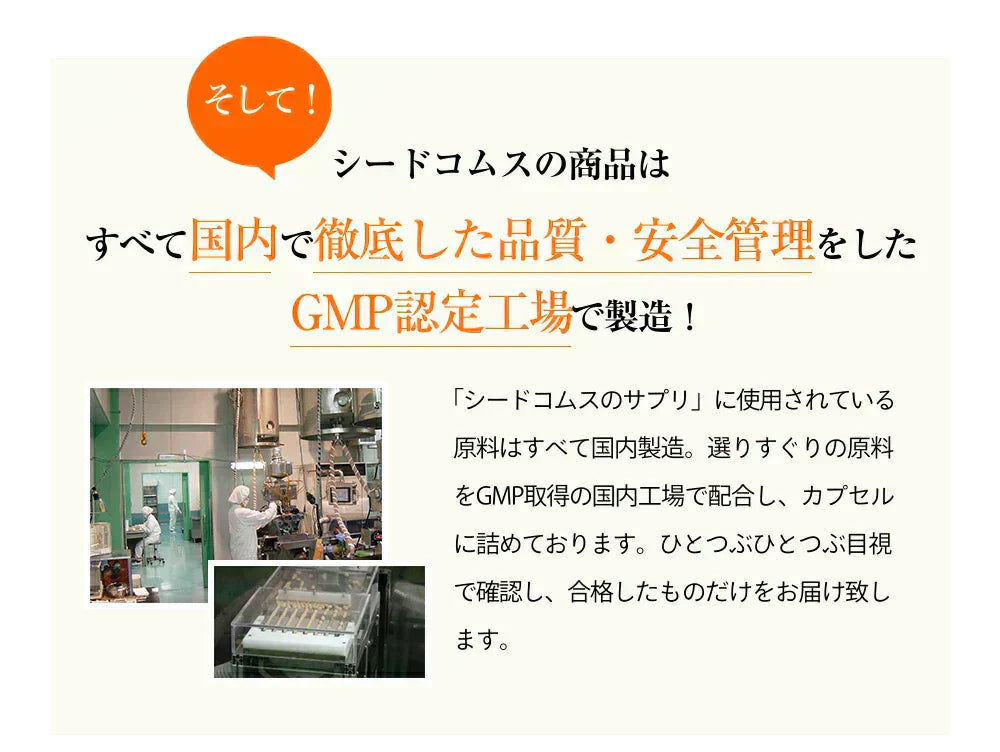 濃いルテイン《約12ヶ月分》ルテイン サプリ サプリメント 亜麻仁油 エゴマ油 ビタミンA ビタミンE ブルーライト デジタルケア マリーゴールド抽出物 PC スマホ【大容量】