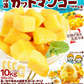 マンゴー 冷凍 完熟 カット済み 10kg （500g×20袋） 無添加 砂糖不使用 ベトナム産 大量 冷凍マンゴー
