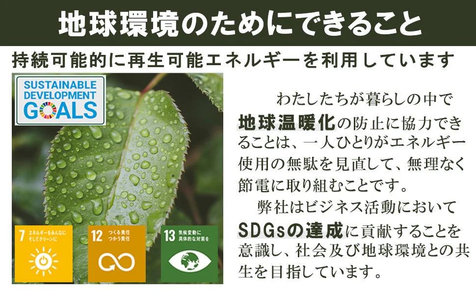 1個セットSDGsバッジ マグネット 正規品 バッジ 金色丸み仕上げ sdgsバッチ ピンバッチ sdgs 会議 着用義務 イメージアップ 国連ガイドライン対応 バッグにも最適 かわいいピンバッジ おしゃれ 会社 団体 落ちにくい ピン留め ピン ブローチ 金具 ゴールド バッチ ピンバッジ 留め具