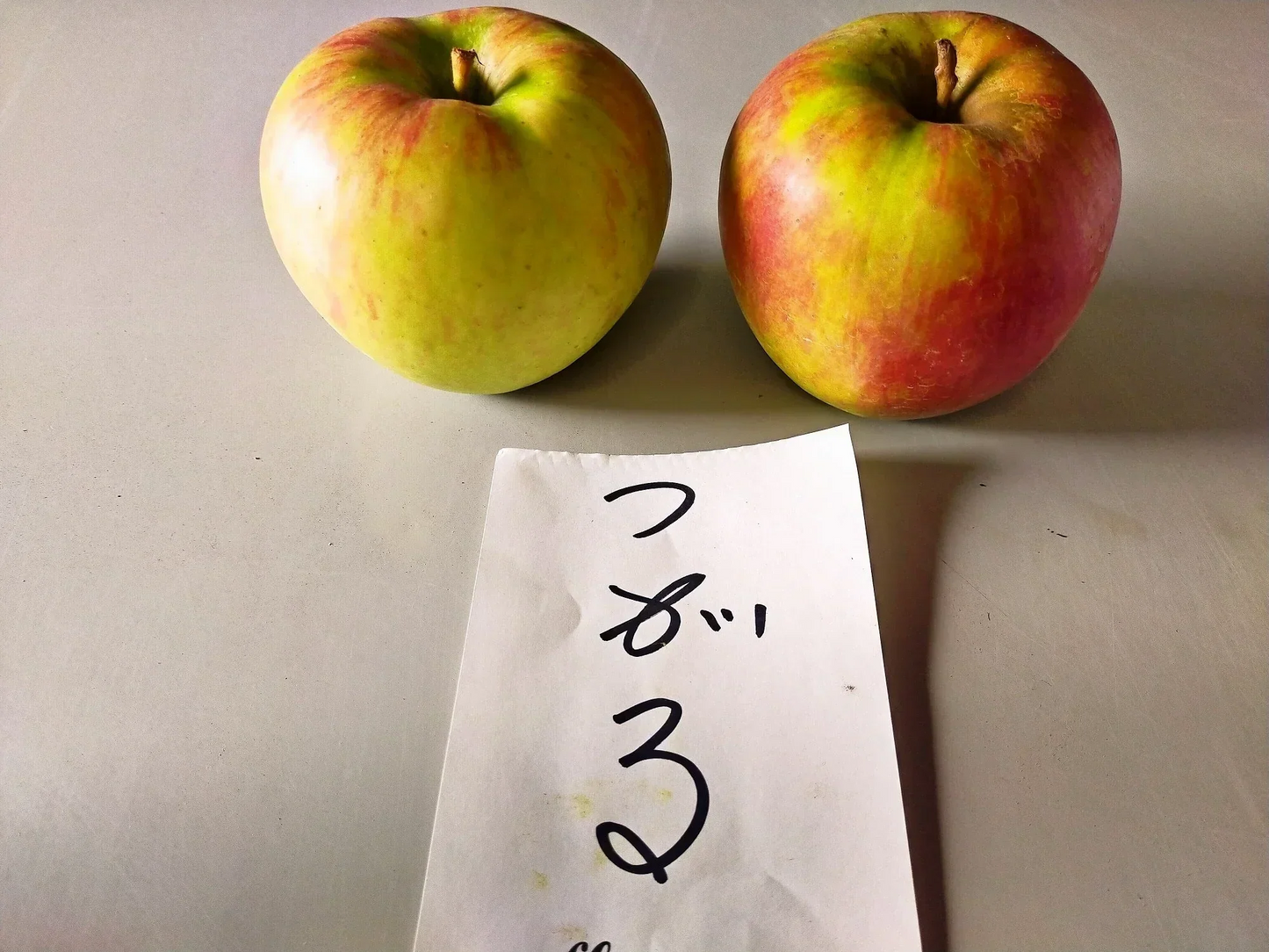 【送料無料】青森りんご　美秋つがる　訳あり　3㎏（約11個～個体差により変動あり）佐川急便冷蔵にて発送【6139】