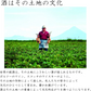 【送料無料】薩摩酒造  芋焼酎 かめ壺仕込み 枕崎 720ml×6本【北海道・東北・四国・九州・沖縄県は別途送料がかかります】