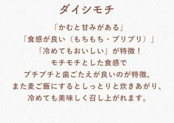 ★ダイシモチ / もち麦　10kg　令和7年岡山県産