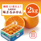 【高糖度！味まるみかん！長崎県産　糖度12度以上！　甘く濃厚な味わいをどうぞ】豊洲市場仕入れ　みかん