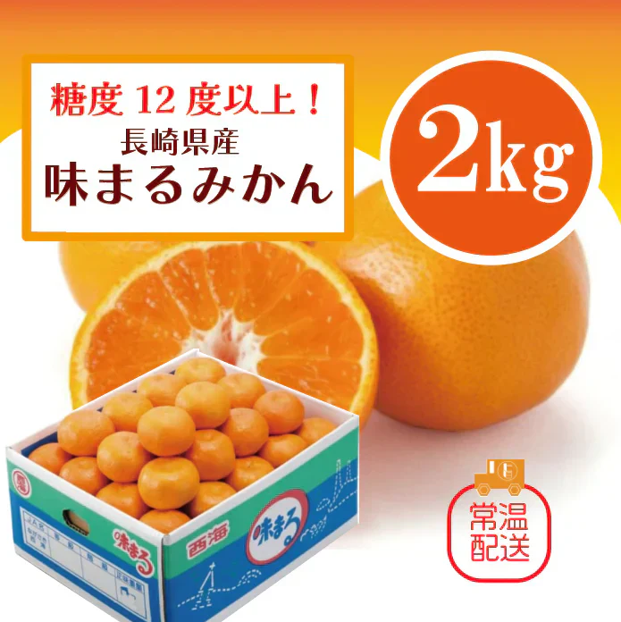 【高糖度！味まるみかん！長崎県産　糖度12度以上！　甘く濃厚な味わいをどうぞ】豊洲市場仕入れ　みかん