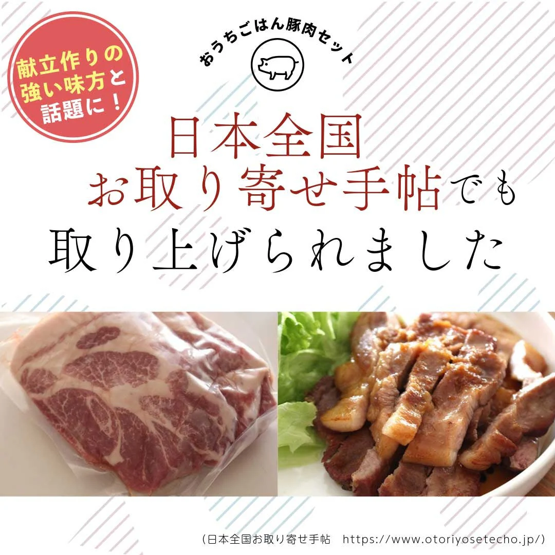 おうちごはん 国産 豚肉セット 2人前メニュー10品【豚ロース生姜焼き300g豚肩ロースとんかつ用300g豚ヒレブロック1本400-500g 豚ひき肉400g豚小間肉300g豚スペアリブ300g豚タン1本200g