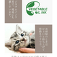 バリバリミュージアム -フェルメール絵画風-  爪とぎハウス◆ ねこの爪とぎ キャットハウス ペットハウス ダンボール 段ボール 爪とぎ 爪研ぎ つめとぎ 猫 ネコ 猫用品 ペット ぺっと グッズ  画家 顔ハメ 絵 額 オシャレ かわいい 猫の日 おしゃれ