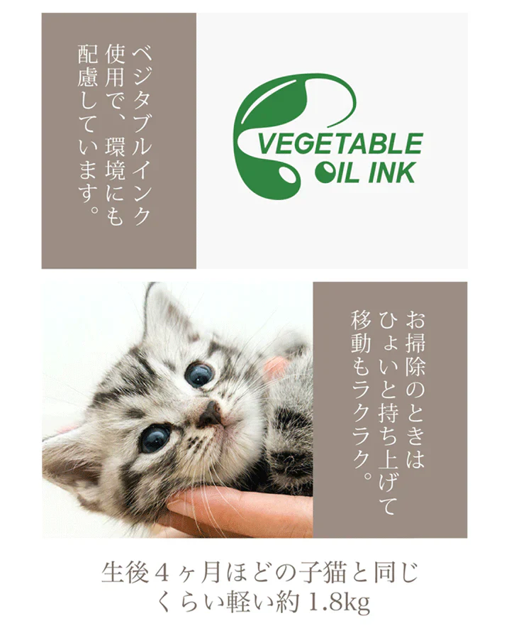 バリバリミュージアム -フェルメール絵画風-  爪とぎハウス◆ ねこの爪とぎ キャットハウス ペットハウス ダンボール 段ボール 爪とぎ 爪研ぎ つめとぎ 猫 ネコ 猫用品 ペット ぺっと グッズ  画家 顔ハメ 絵 額 オシャレ かわいい 猫の日 おしゃれ