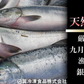北海道産 新巻鮭寒風干し10切 送料無料
