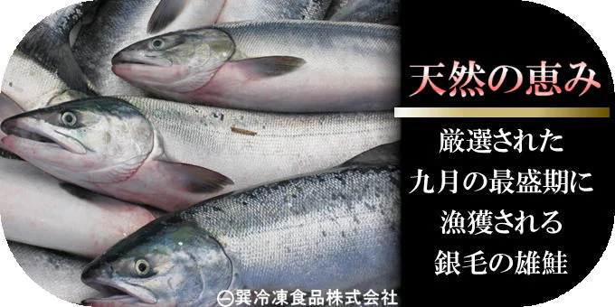 北海道産 新巻鮭寒風干し10切 送料無料