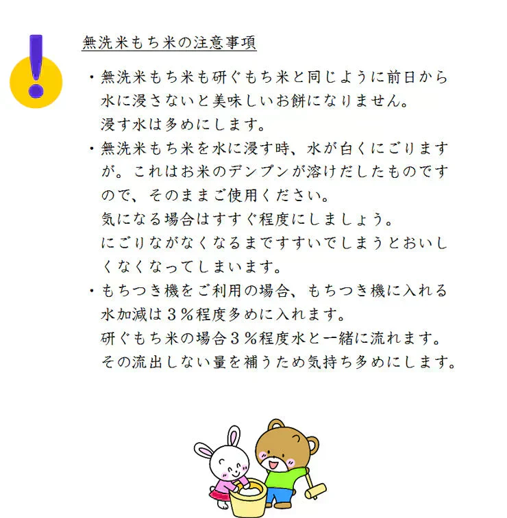 令和7年産 無洗米もち米 餅米 無洗米 九州産 もち米25kg（5kg5個セット）送料無料