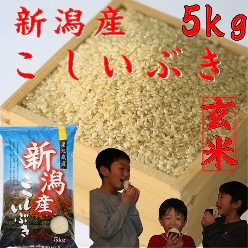 新米 令和8年 玄米 5kg 送料無料 お米５キロ 米 玄米 新潟産 こしいぶき 米 5kg (5kg×1袋) 玄米 5キロ 農家直送 お米 5キロ 玄米 美味しいお米 産地直送
