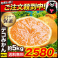 訳あり デコみかん 約5kg (5kg＋不良果保証250g) 送料無料 不知火 みかん ミカン 熊本県産 訳あり デコポン と同品種 熊本 柑橘 目玉商品 くまもと風土《7-14営業日以内に発送予定(土日祝除く)》