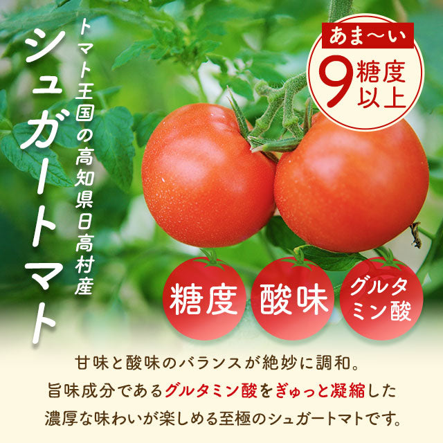 高知県日高村のフルーツトマト入りスープ25包 個包装 送料無料