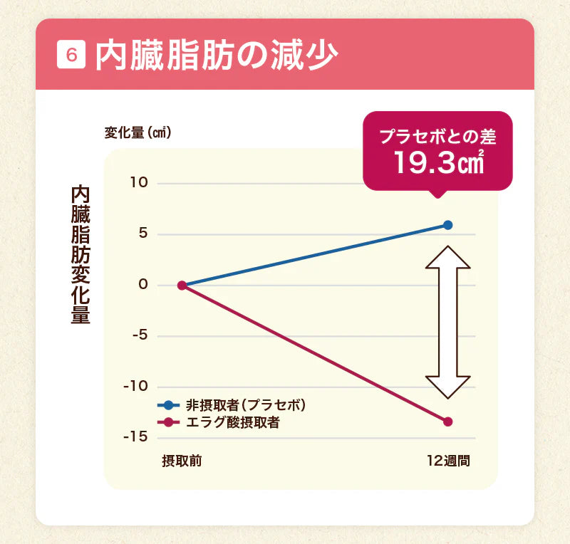 【最短当日出荷】機能性表示食品 プーアール茶 ヘルシーボ 30個入 ( 肥満気味の方 体重 ウエスト 体脂肪 血中中性脂肪 BMI 内臓脂肪 サポート エラグ酸 ザクロ エキス ダイエット サポート ダイエット茶 健康茶 ティーバッグ ティーライフ )