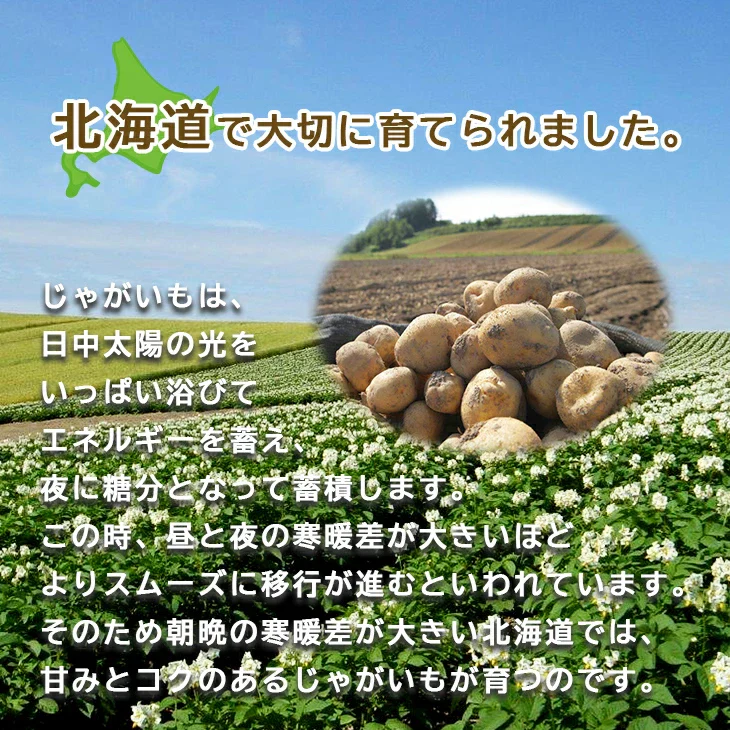 【終了】【10月上旬より順次出荷予定】特別栽培 キタアカリ・玉ねぎセット 10kg