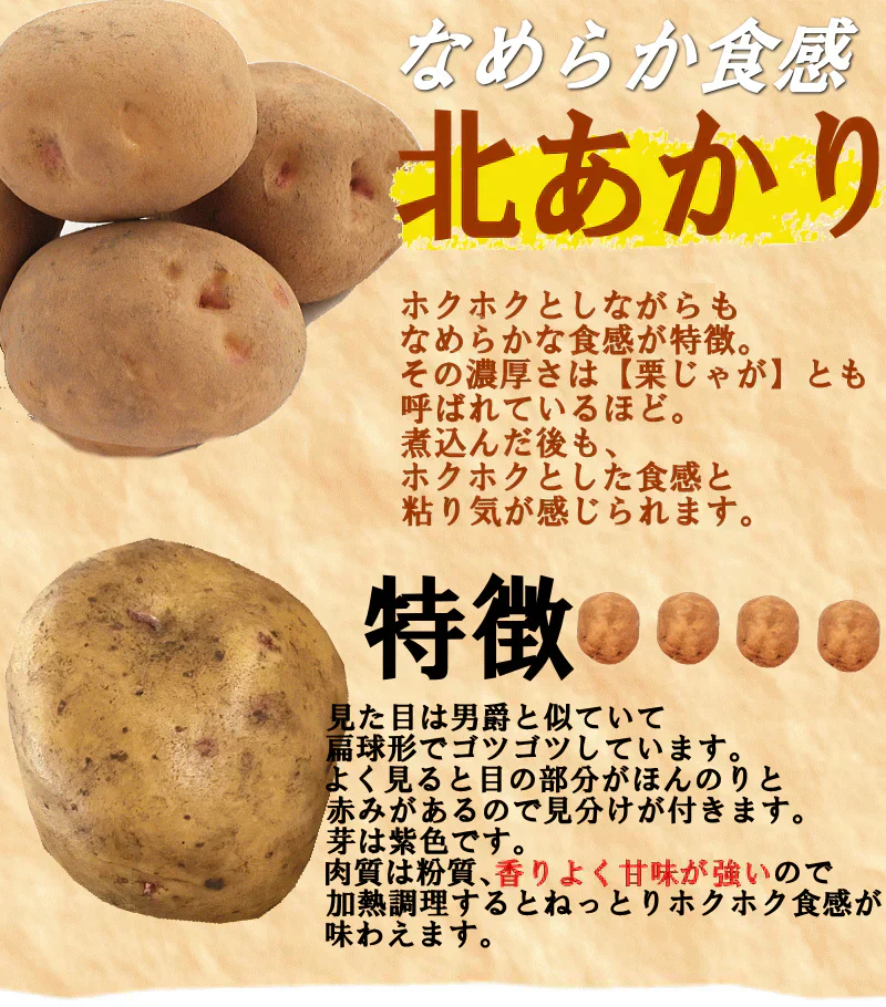 岩手県産　じゃがいも　5kg　無農薬栽培　品種MIX（きたあかり・男爵）