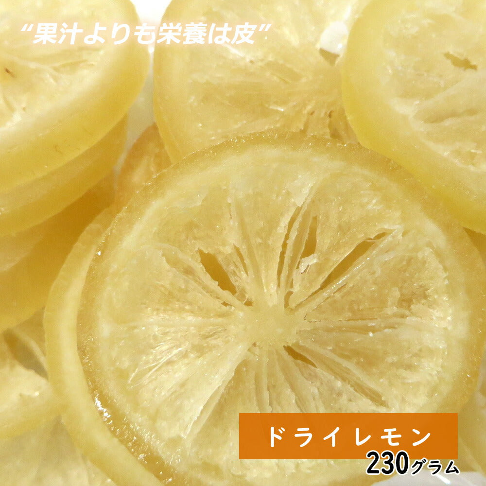 【3人シェア買いでお得】230g  ドライレモン ドライフルーツ