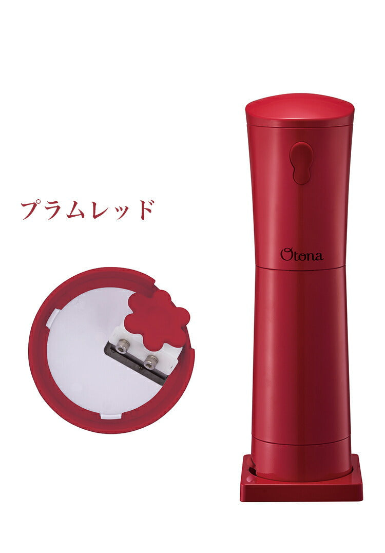 (ソーダグリーン)大人のふわふわかき氷器 電動かき氷機 大人の氷かき器 DHIS-20【送料無料】