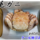 毛ガニ 毛蟹 訳あり 650g 1尾 かに姿 カニ味噌 かにしゃぶ 蟹 カニ かに 北海道産 shr-018