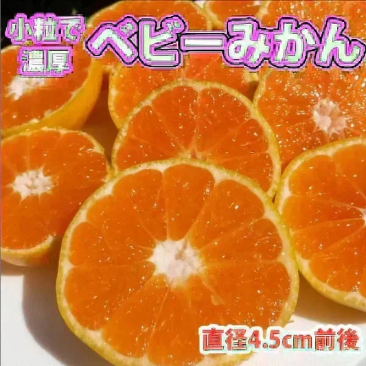(10月下旬頃から順次発送の予約販売) みかん 激レア小粒 直径4.5cm前後 訳あり 和歌山有田みかん 2kg